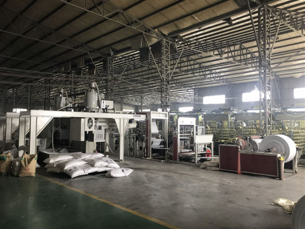 Yiyang Wanlin Weave Packing Co., Ltd. fabriek productielijn