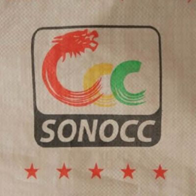 25 KG 40 KG 50 KG PP geweven zak leeg PP cement zak blok bodem met klep